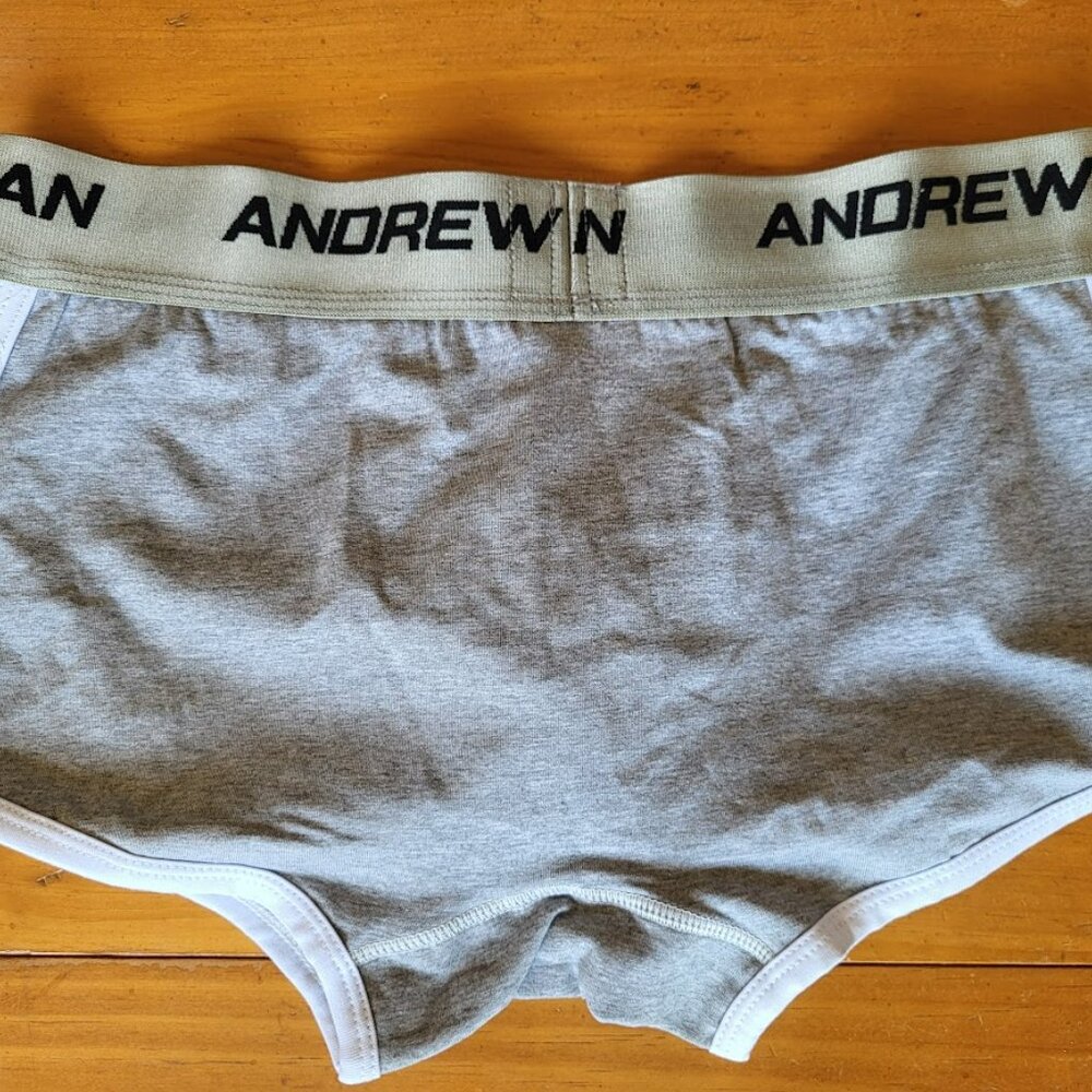 Andrew Christian Vintage Boxer Briefs Trunks Large Gray NEW - Picture 3 of 8